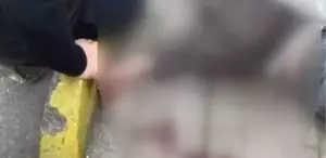 Okul önünde dehşet Başından vurup kaçtı