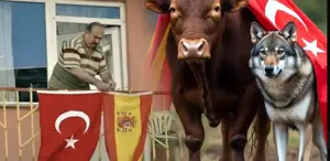 İspanyollar, Türkiye için imza toplamaya başladı