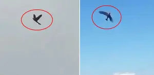 ABD’nin kabusu olacak Hepsiyle savaşmak zorunda kalabilirler