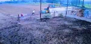 İzmir’de Traktör Kazası: 11 Yaşındaki Çocuk Hayatını Kaybetti