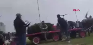 Sahibinin, koşmadığı için dövdüğü at bayıldı