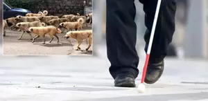 Belediye başkan yardımcısından görme engelli vatandaşa şok cevap