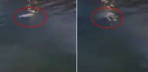 İnsanlık ölmüş dedirten görüntü: Ya bırak, sabaha kadar polise ifade verirsin