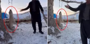 Çok yediğini iddia ettiği köpeğini ağaca asıp öldürdü