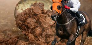 Vatandaşa yarış atı yediren firmayla ilgili yeni skandal