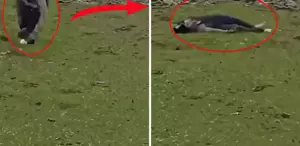 İsrail’den Suriye topraklarına baskın Sivillere ateş açtılar