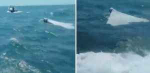 İran, ABD İHA’sını düşürdü