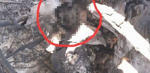 İran’dan düşürülen askeri uçakta ABD askerine ait vücut parçasının tespit edildiği iddiası