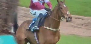 Engelden atlarken sırtı kırılan yarış atının acı sonu