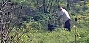 Avcılar’da köpeğe kemerle şiddet uygulayan şüpheli aranıyor