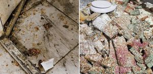 Kötü koku üzerine girilen evde mide bulandıran şartlarda lokum ve cezerye üretildiği ortaya çıktı