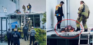 Önce silah sesleri duyuldu sonra kadın kendini 6’ncı kattan attı