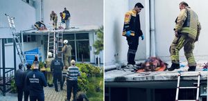 Önce silah sesleri duyuldu sonra kadın kendini 6’ncı kattan attı