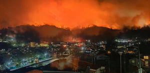 Japonya’nın Iwate eyaletinde orman yangını