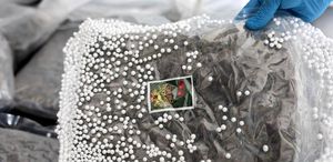 Türkiye ve Suriye’den ortak operasyon Değeri tam 300 milyon TL