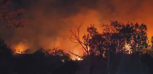 Beykoz’da alevler, soğutma çalışmaları sırasında yeniden yükseldi