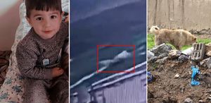 5 yaşındaki çocuğun can verdiği köpek dehşetinin görüntüleri ortaya çıktı