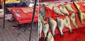 Pazarda kilosu 50 TL’ye satılıyor Gıda mühendisi uyardı: Sakın almayın