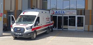 Van’da hayvan pazarında çıkan kavgada 1 kişi öldü, 13 kişi yaralandı