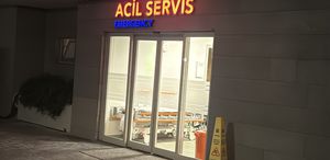 Zülfü Livaneli’nin eşi Ülker Livaneli merdivenden düşerek yaralandı
