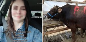 370 bin TL’lik kurbanı 210 bin TL’ye aldı, sorduğu soru olay oldu