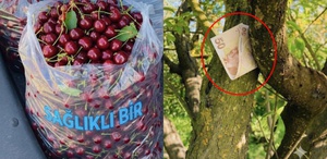 Tartışma yaratan fotoğrafla ilgili gerçek ortaya çıktı