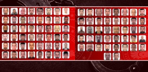 Kırmızı bültenle ve ulusal seviyede aranan 90 suçlu Türkiye’ye getirildi