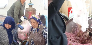 Isparta’nın pembe hazinesi Kilosu 650 bin liraya alıcı buluyor