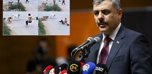 Bakan Çiftçi, yılbaşına kadar süre istedi: Sokak köpeklerinin hepsini barınaklara toplatacağım