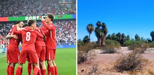 Milli Takım’da Arizona krizi “Mecburduk“ denilen işin altından para çıktı