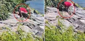 Avcılar’da Köpeğe Şiddet: Şüpheli Gözaltına Alındı