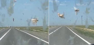 Görüntüler İstanbul’un yanı başından Her yeri istila ettiler