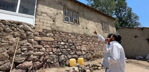 Evleri yılanların istilası altında: Hayatları kabusa dönen aile, yetkililerden yardım istiyor