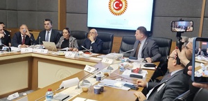 Ayyüce Türkeş’ten MHP’ye sert sözler Komisyonda ortalık bir anda karıştı