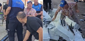 Zabıta uyardı, esnaf çılgına döndü Balıkları tek tek yere fırlattı