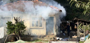 Bir ili korkutan istila Vatandaşlar evlerine giremez oldu