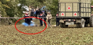 Kastamonu’da köyde silahlı katliam: 4 ölü