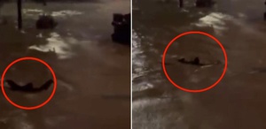 Sarıyer Ayazağa’da akıntıya kapılmamak için yüzen kişi kurtarıldığı öğrenildi