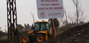 Hatay’da kuş gribi paniği Apar topar karantinaya alındı