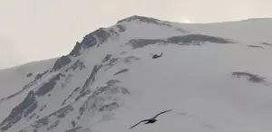 Artos Dağı’nda dağcılar mahsur kaldı, birinin ayağı kırıldı