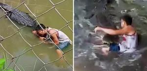 Heykel sandığı gerçek timsahın saldırısına uğrayan turist ağır yaralandı