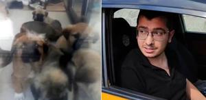 Parçalayıp öldürdüğü köpek sayısı 26’ya ulaştı Doktordan akılalmaz savunma
