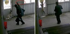 81 yaşındaki adam köpeği bastonuyla acımasızca dövdü