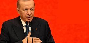 Cumhurbaşkanı Erdoğan: Eline bir mikrofon alan kendini gazeteci sanıyor