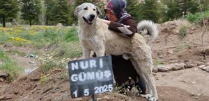 Garip, sahibinin mezarının başından ayrılmıyor
