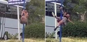 Trafikteki yön levhasında direk dansı yaptı
