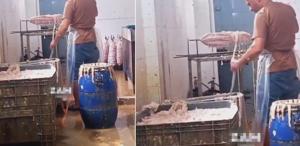 Kokoreçe tövbe ettirecek görüntüler