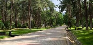 Parkta oturan genç kızları önce takip sonra taciz etti