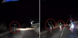 Korku filmlerini andıran görüntü Aniden yola fırladılar, sürücü geri manevra yaparak kurtuldu