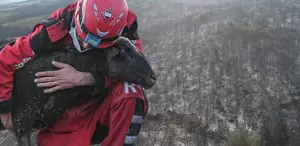 Tekirdağ’daki orman yangını ikinci günde kontrol altına alındı